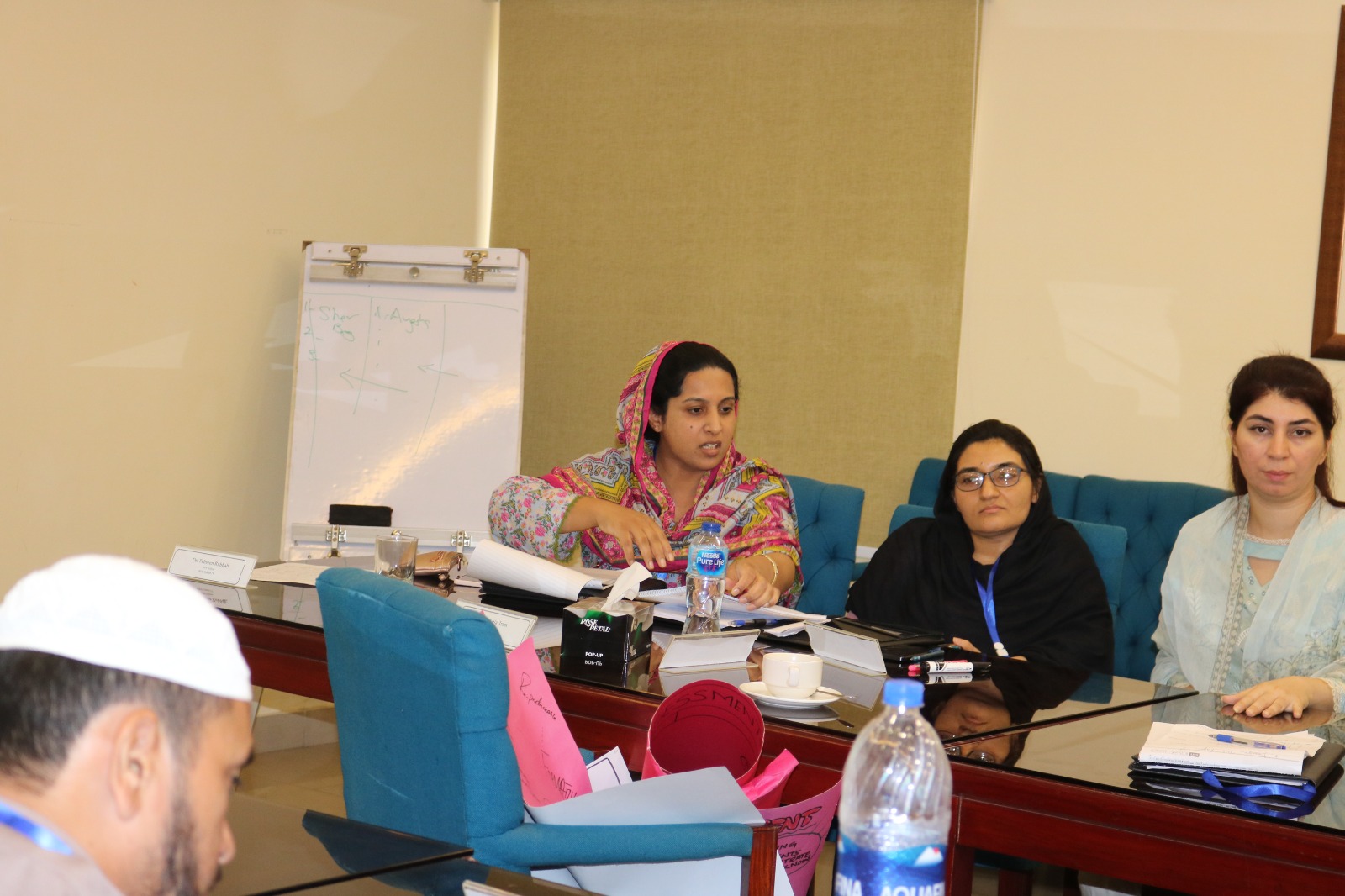 NAHE Faculty Development 4